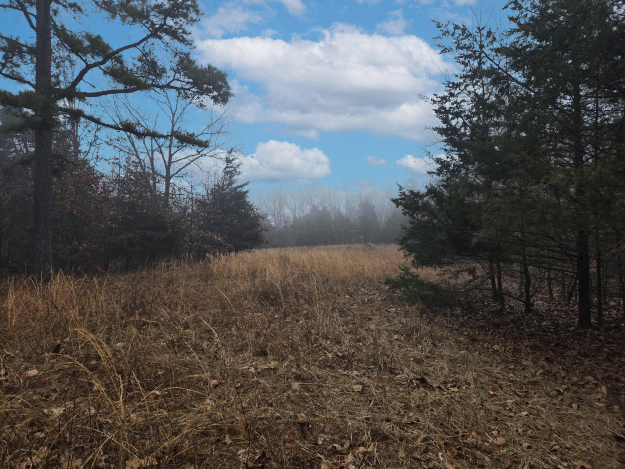 000 Stave Mill Road Property Photo 2
