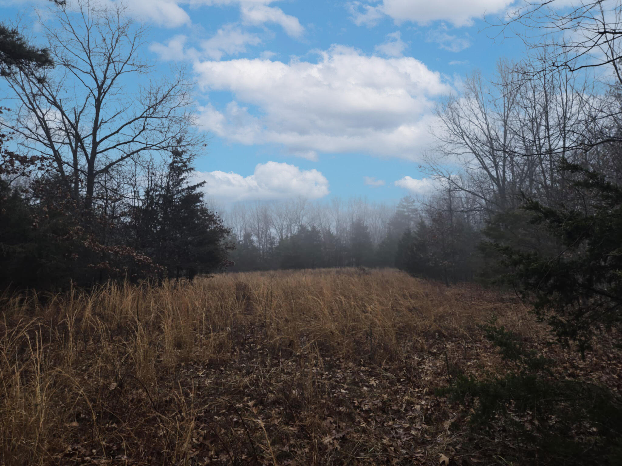 000 Stave Mill Road Property Photo 3