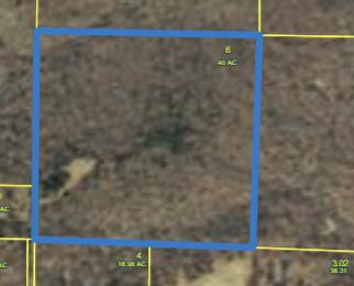 000 Stave Mill Road Property Photo 5