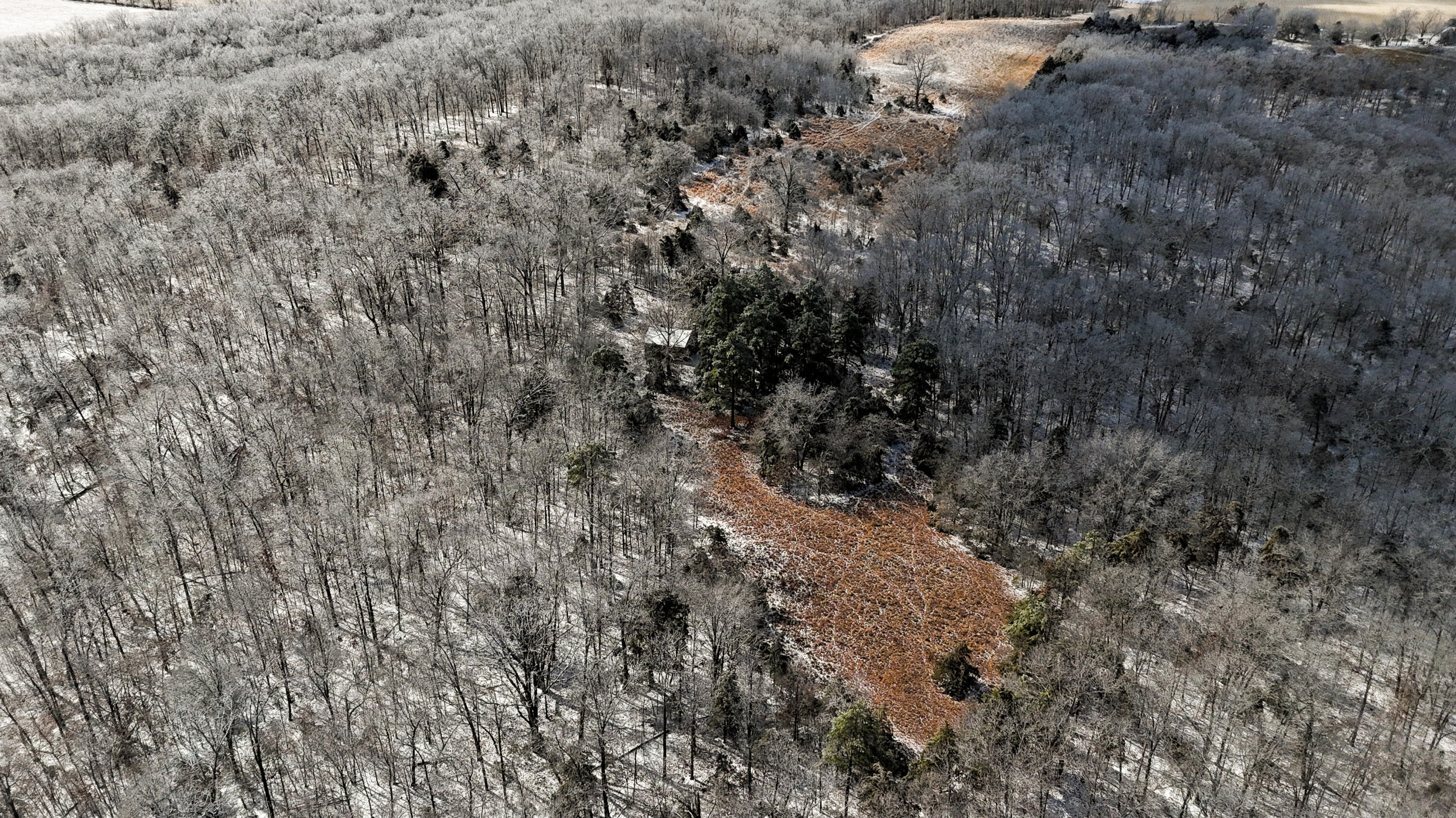 000 Stave Mill Road Property Photo 10