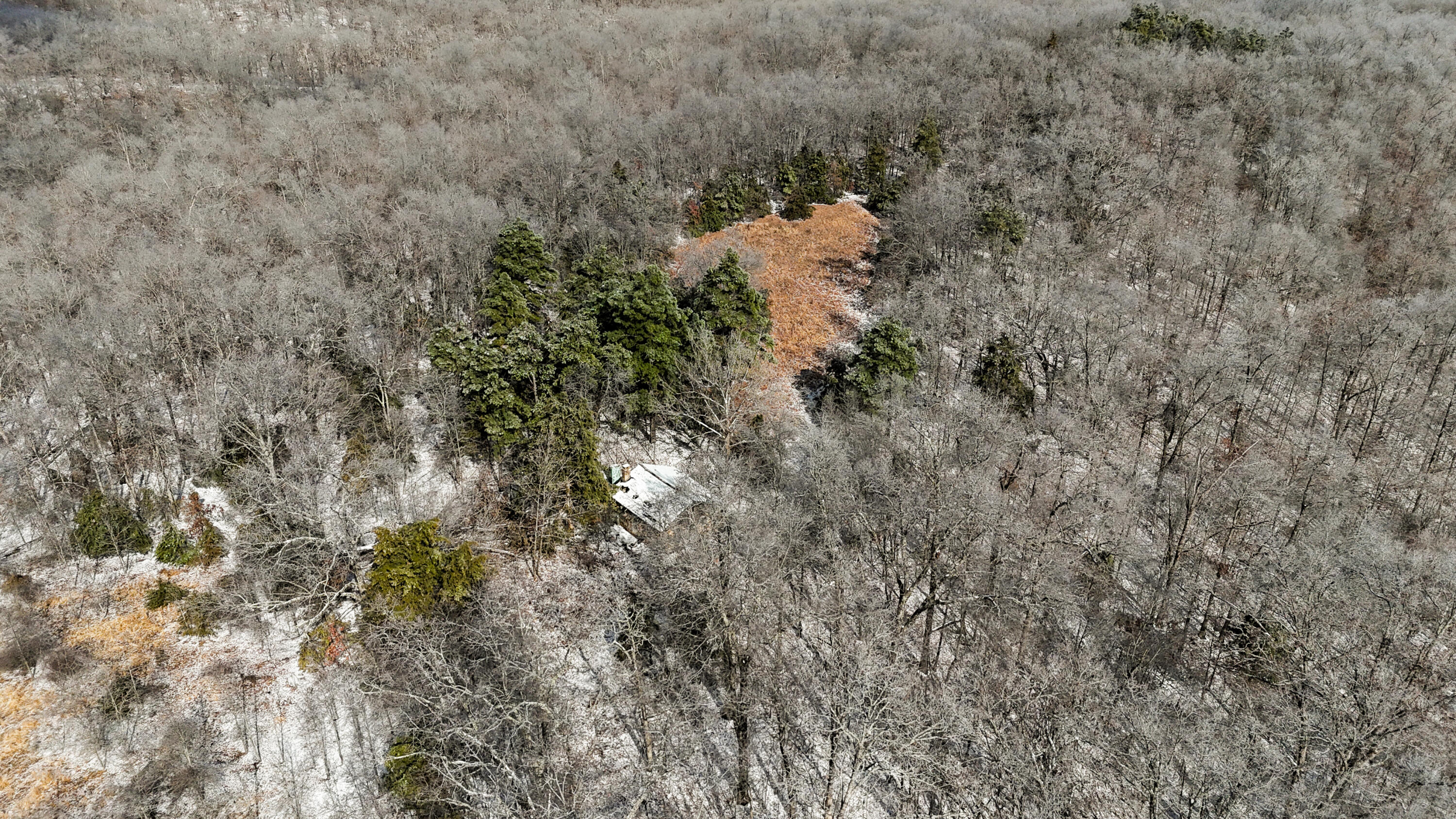 000 Stave Mill Road Property Photo 13