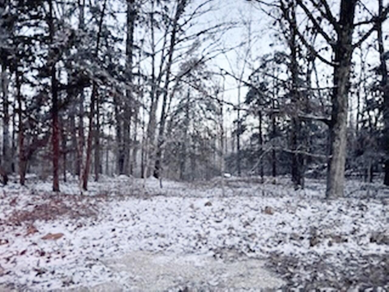 Tbd State Hwy Y Property Photo 2
