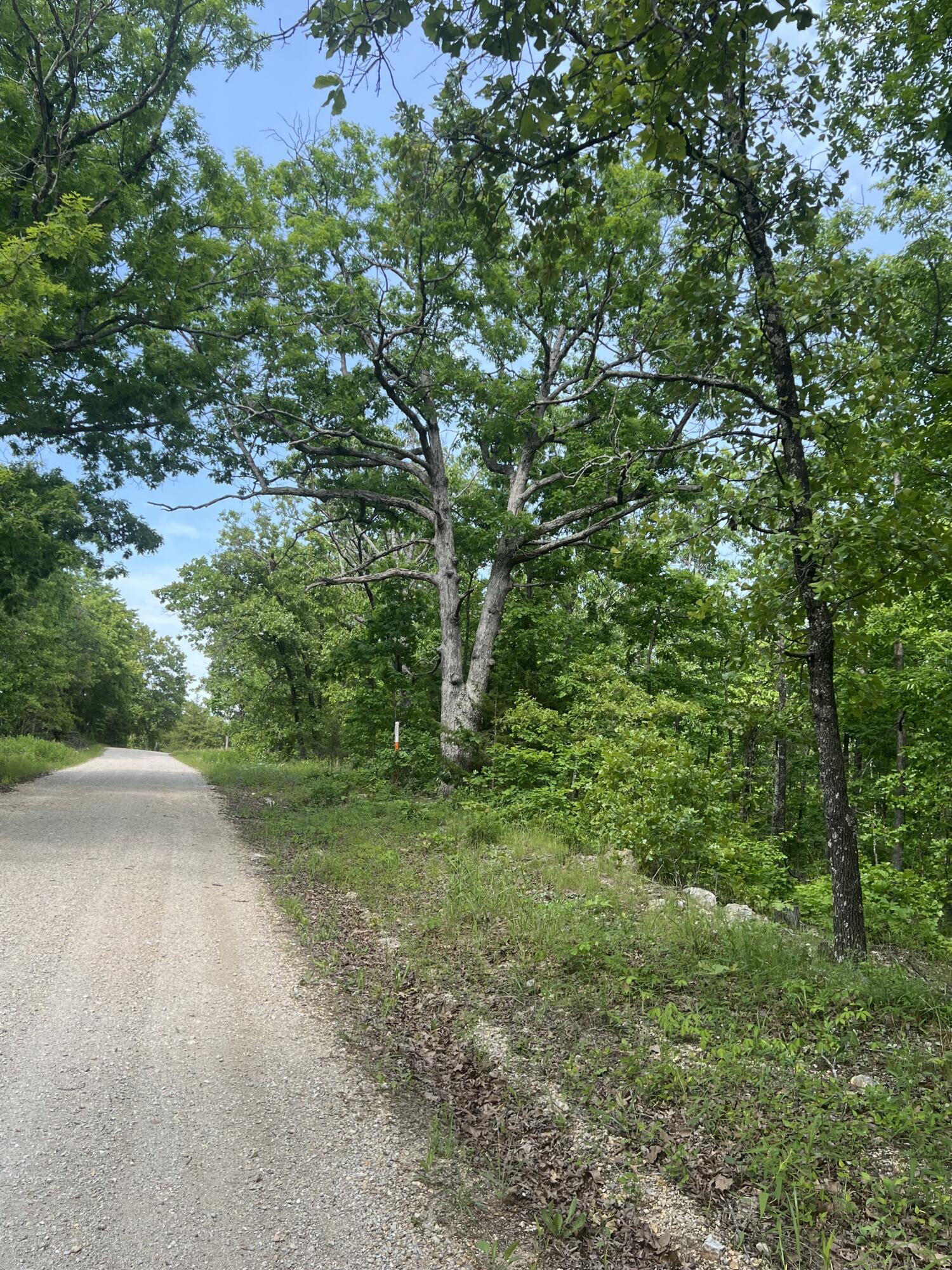 Tbd State Hwy Y Property Photo 8