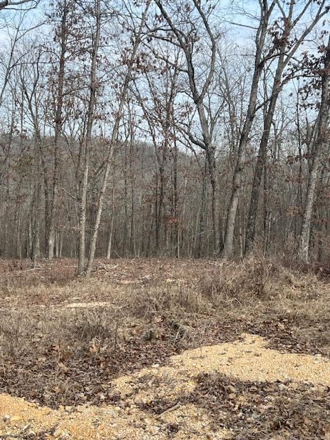 Tbd State Hwy Y Property Photo 10
