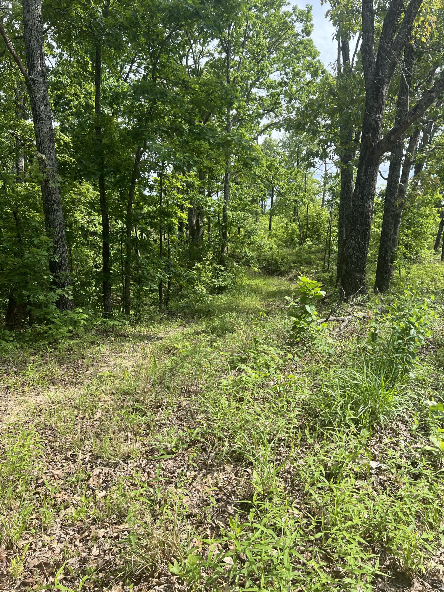 Tbd State Hwy Y Property Photo 11