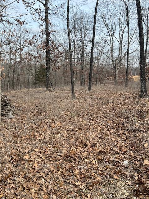 Tbd State Hwy Y Property Photo 12