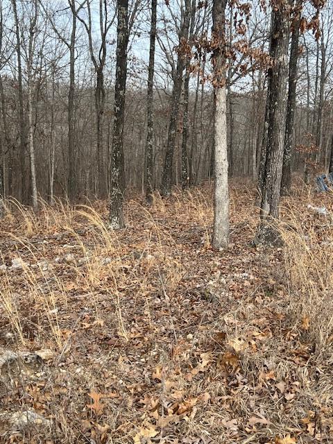 Tbd State Hwy Y Property Photo 15
