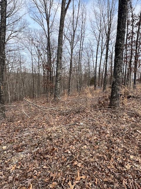Tbd State Hwy Y Property Photo 17