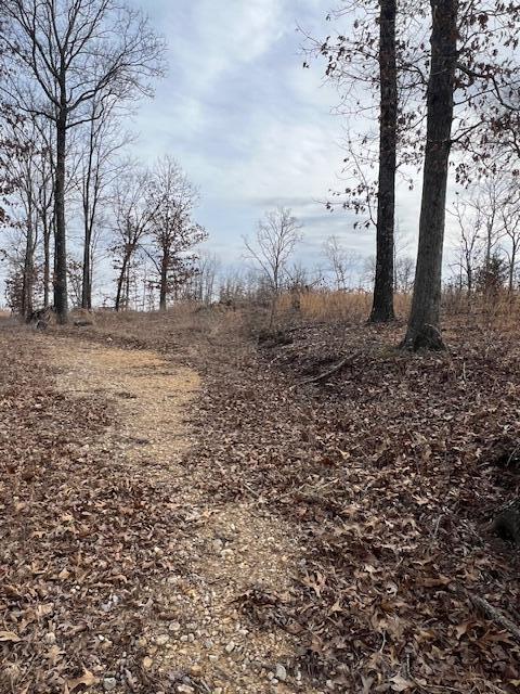 Tbd State Hwy Y Property Photo 18