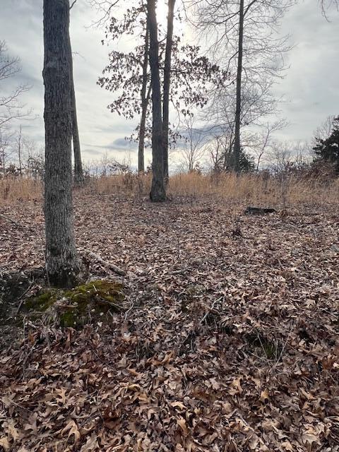 Tbd State Hwy Y Property Photo 19
