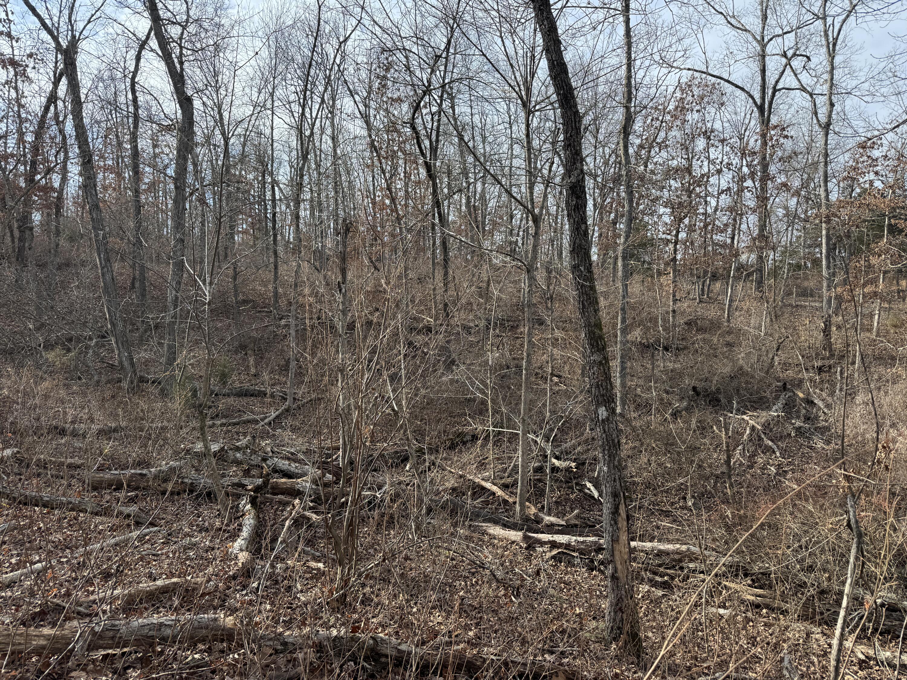 000 Hwy Mm Property Photo 31