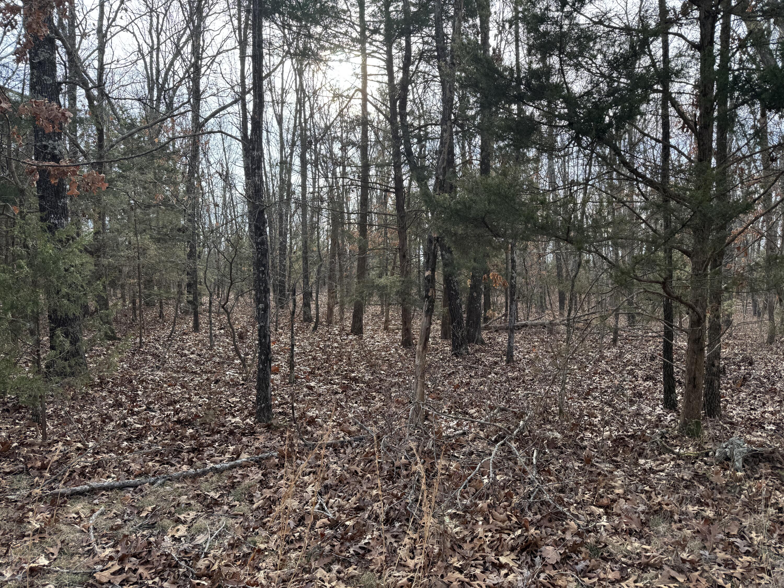 000 Hwy Mm Property Photo 38