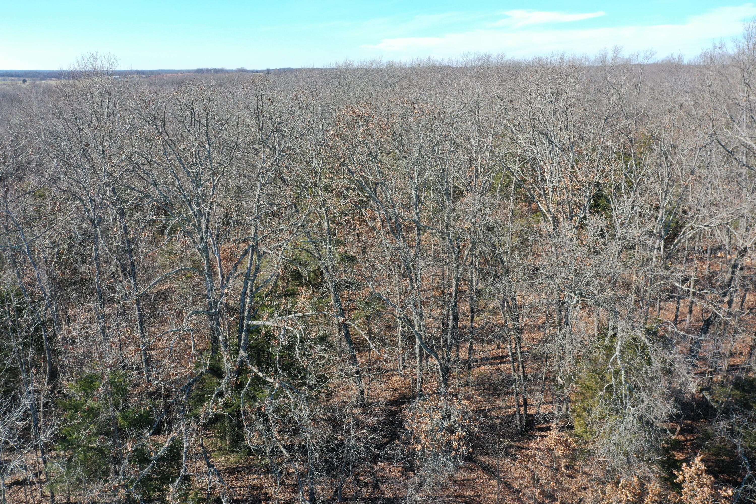 000 Hwy Mm Property Photo 45