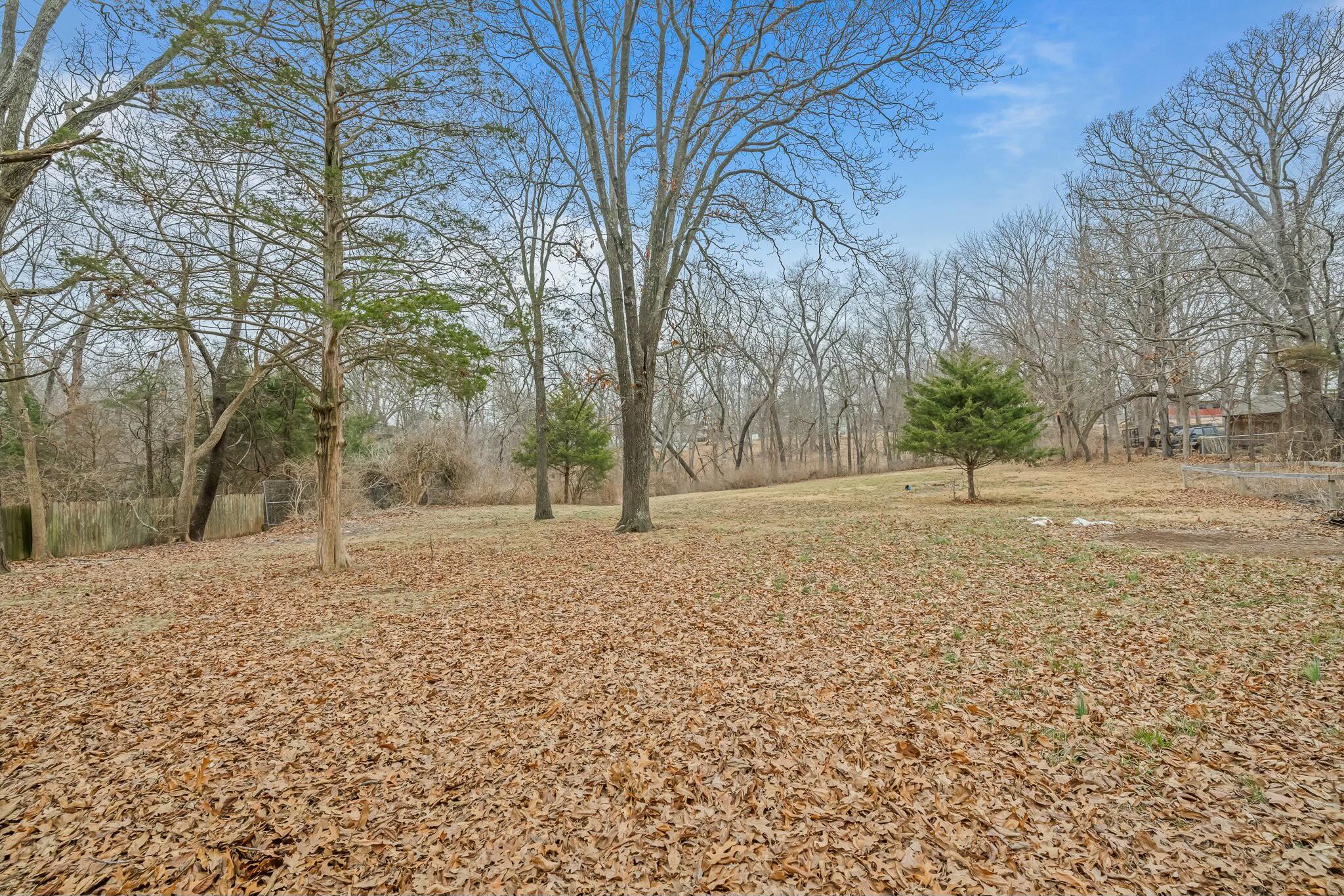 4607 South Chrisman Avenue Property Photo 29