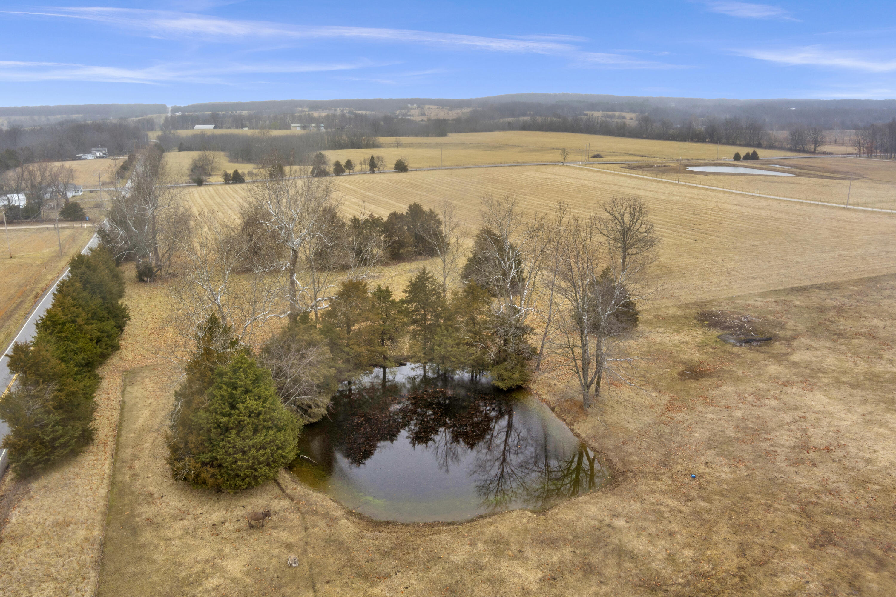Tract 4 North State Highway 215 Property Photo 12