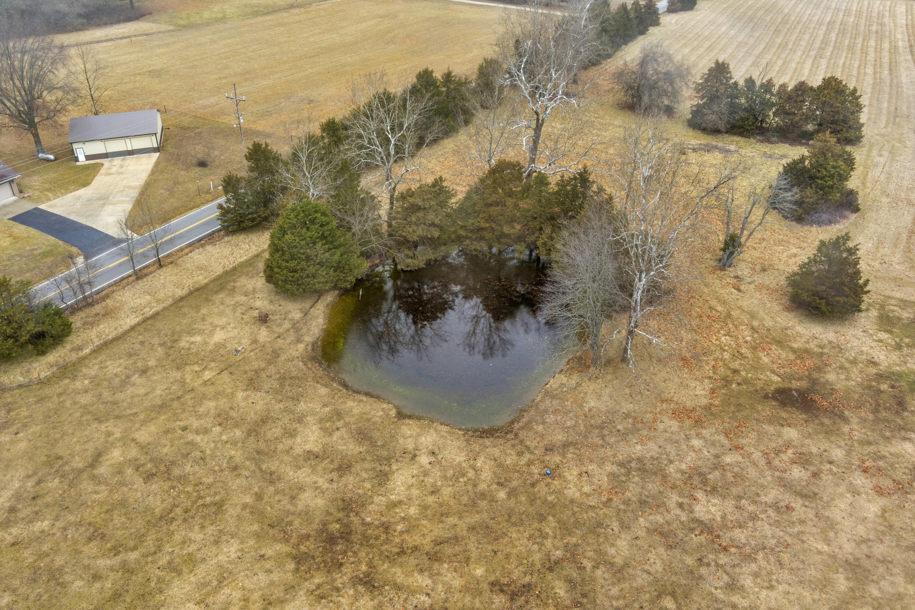 Tract 2 North State Highway 215 Property Photo 11