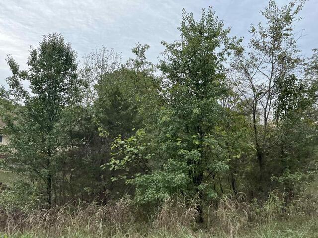 Lot 20 Rabbit Run Property Photo 3