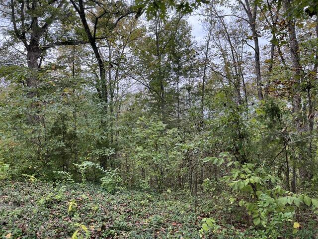 Lot 20 Rabbit Run Property Photo 4
