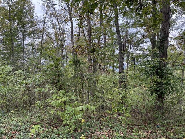 Lot 20 Rabbit Run Property Photo 5