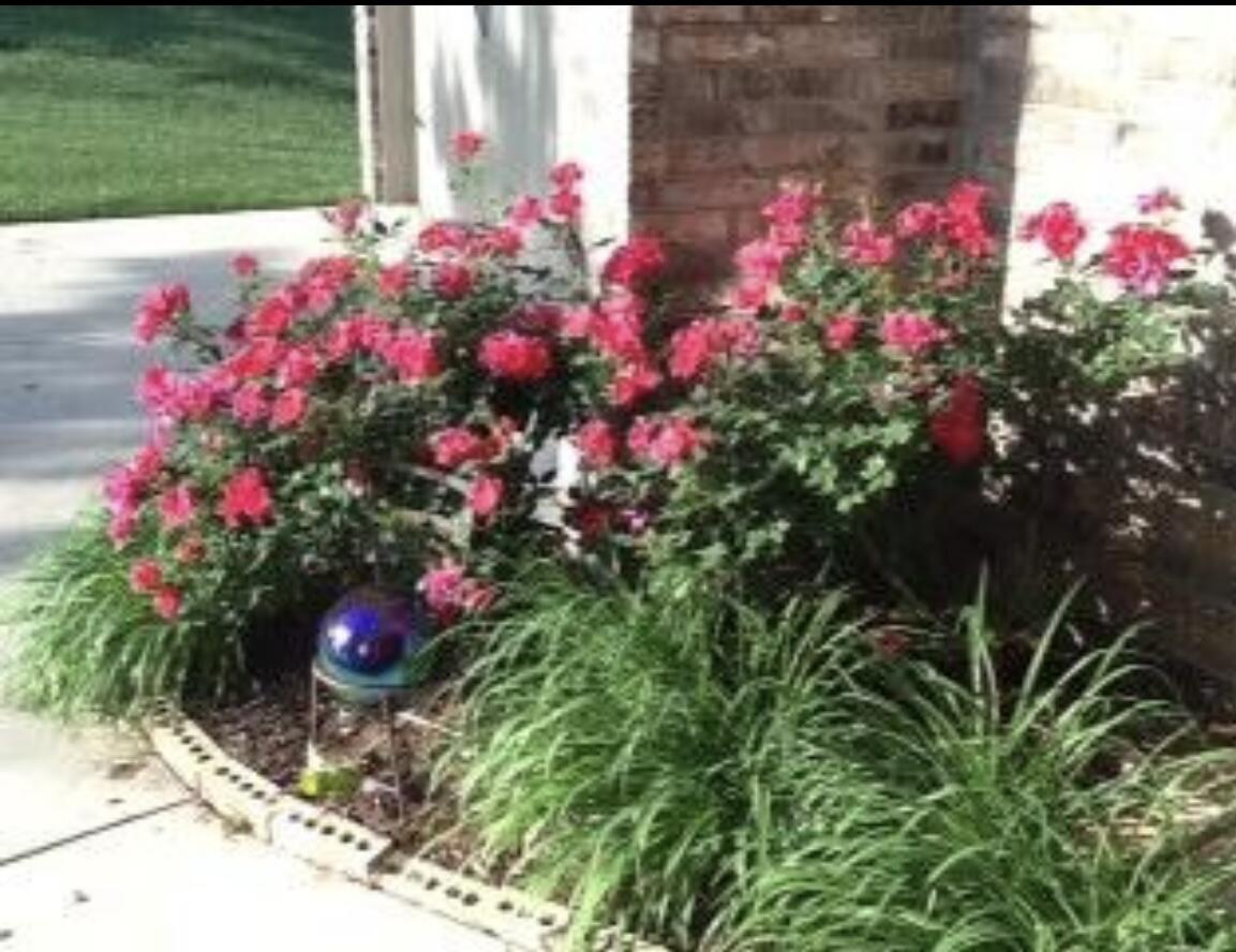 18 Southwind Circle Property Photo 74
