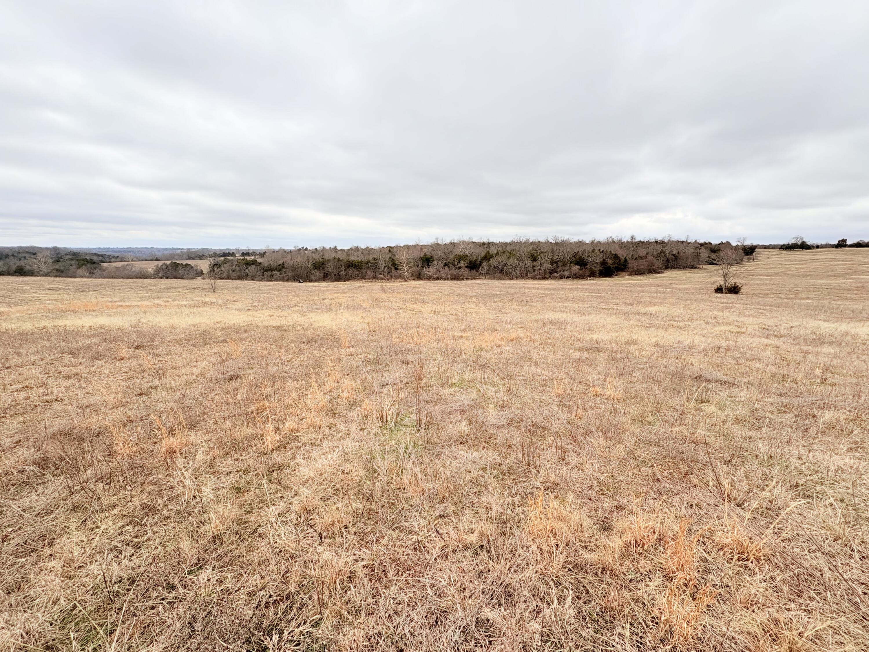 003 Tbd Lazy Acres Road Property Photo