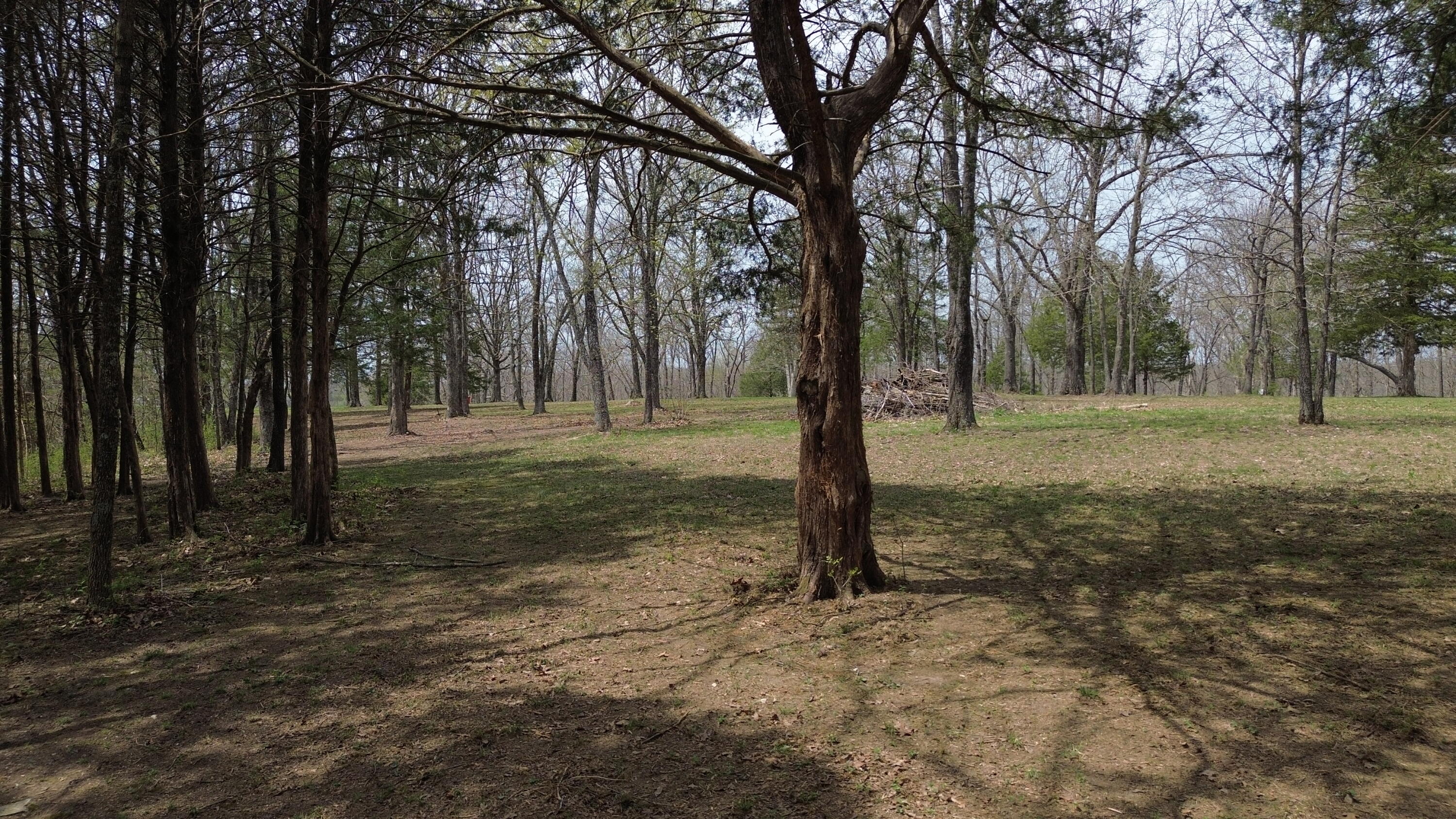 000 Wyldewood Ridge Lot 1 Property Photo 9