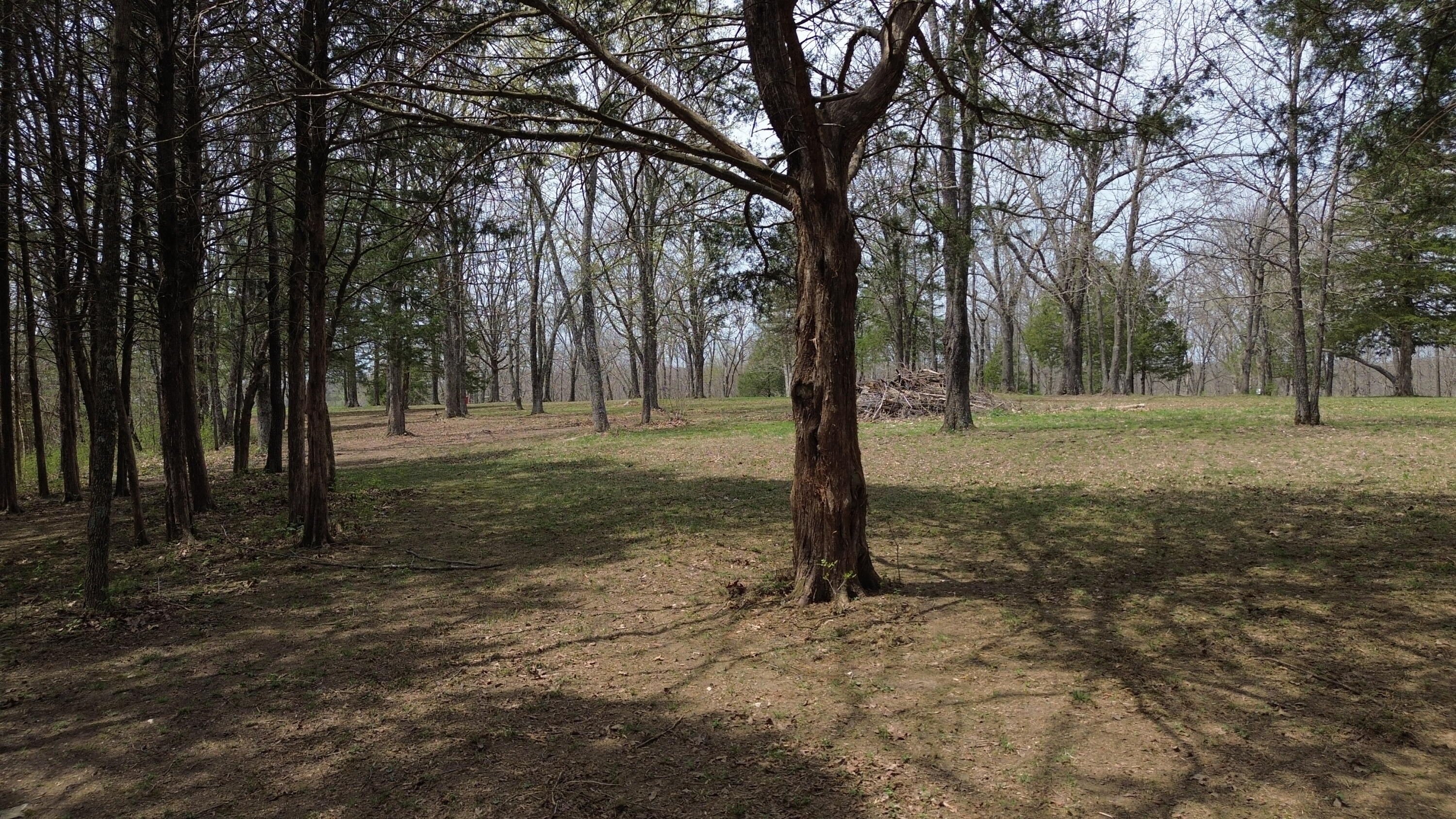 000 Wyldewood Ridge Lot 1 Property Photo 10