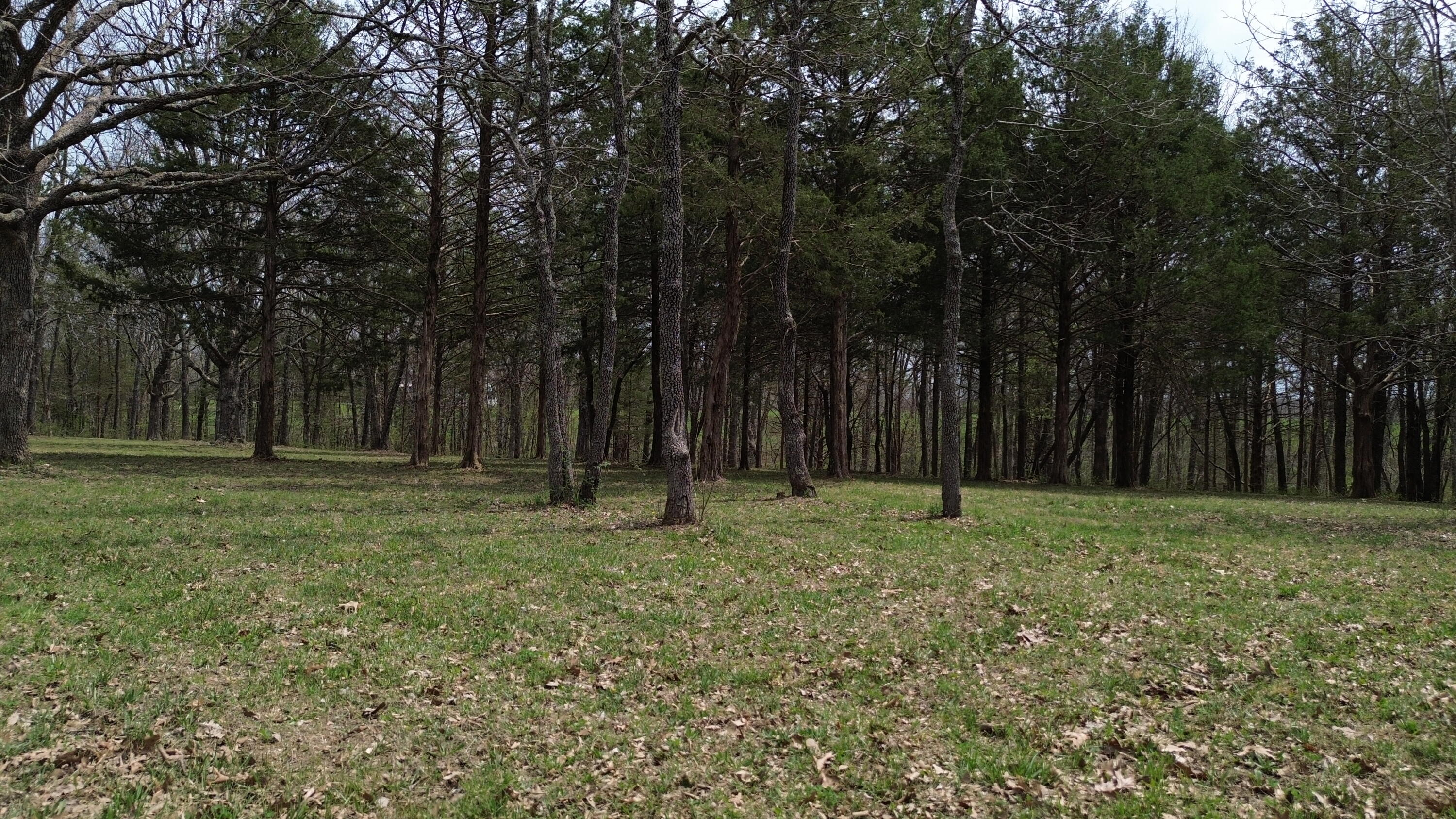 000 Wyldewood Ridge Lot 1 Property Photo 12