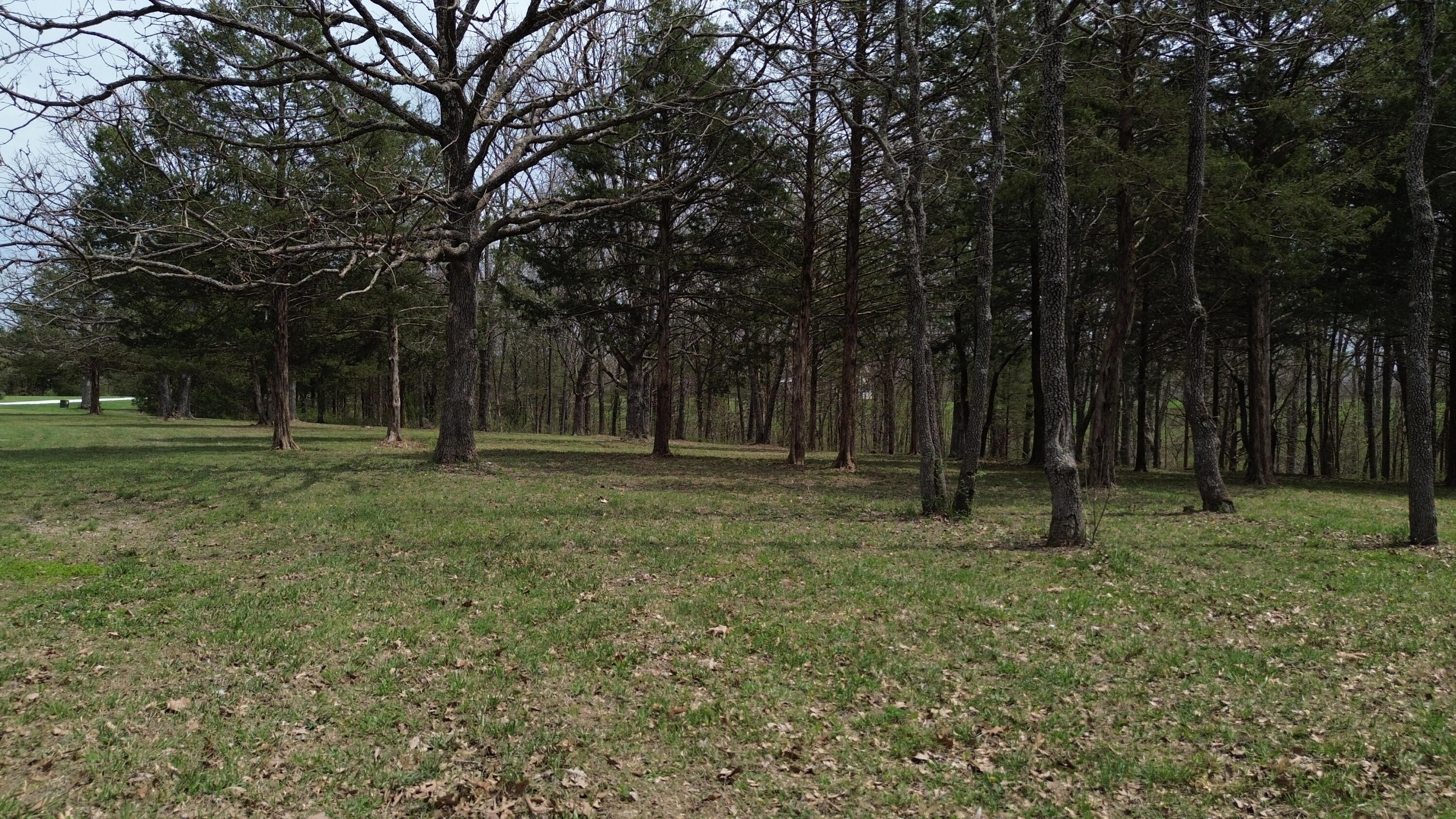 000 Wyldewood Ridge Lot 1 Property Photo 13