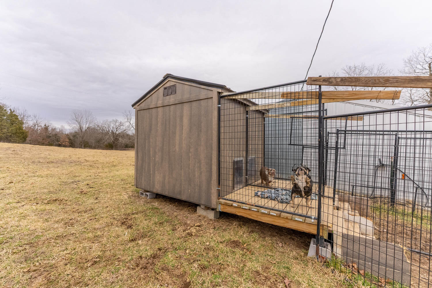 2405 County Road 2710 Property Photo 63