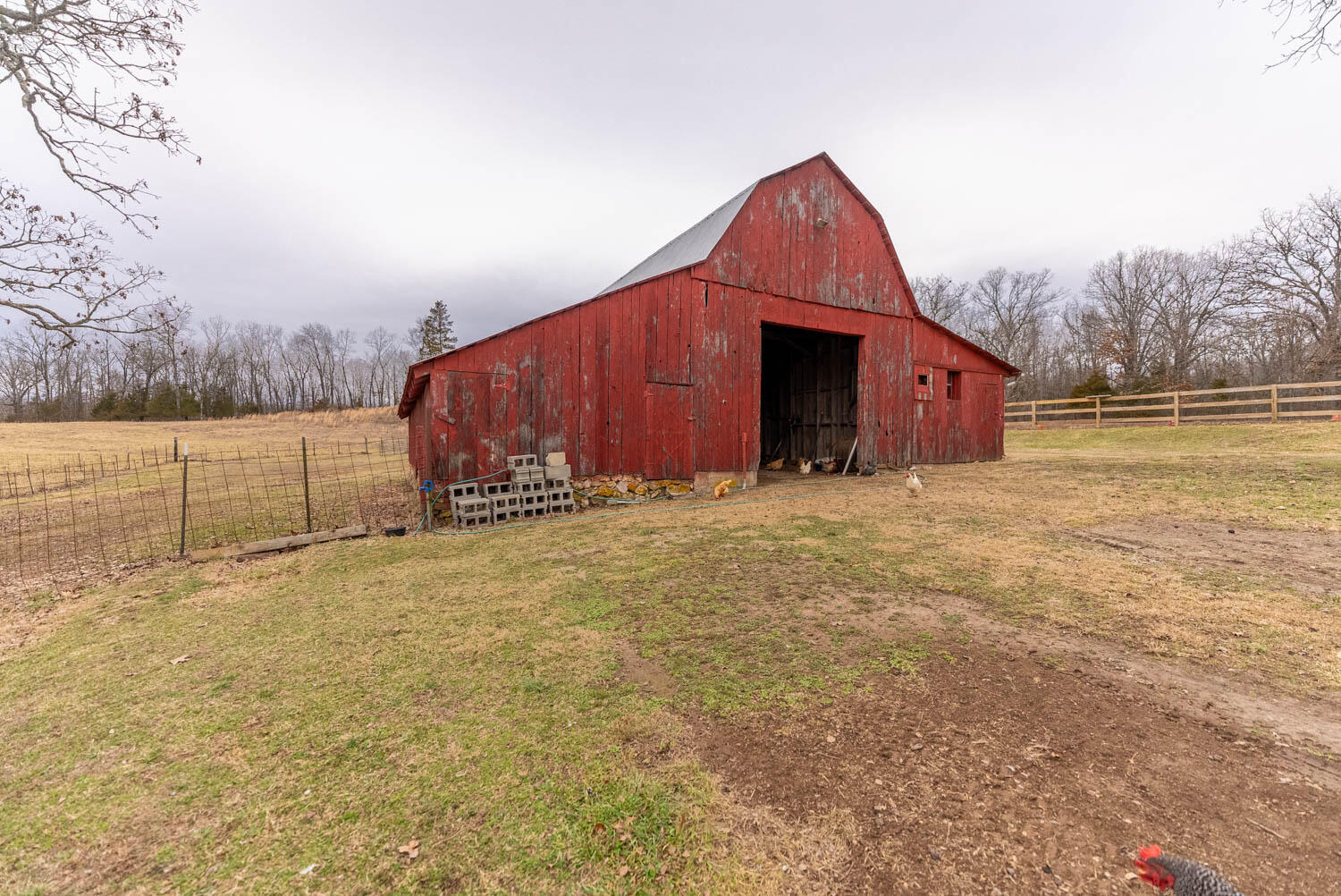 2405 County Road 2710 Property Photo 69