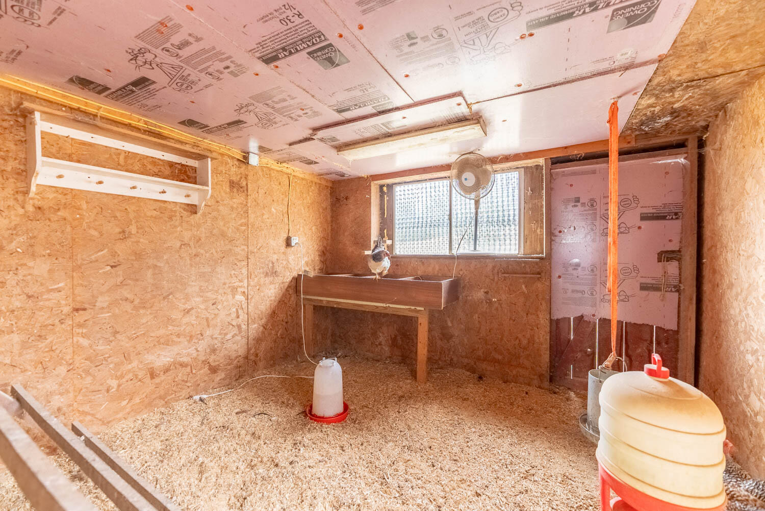 2405 County Road 2710 Property Photo 71