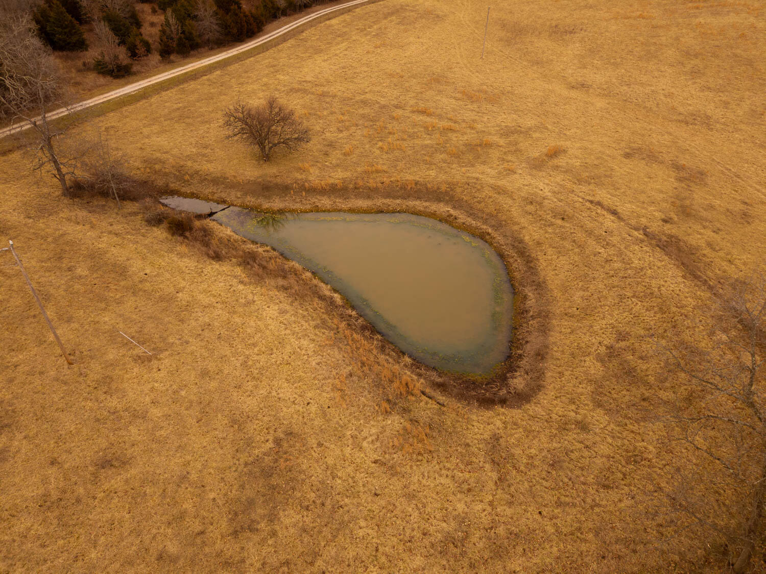 2405 County Road 2710 Property Photo 81