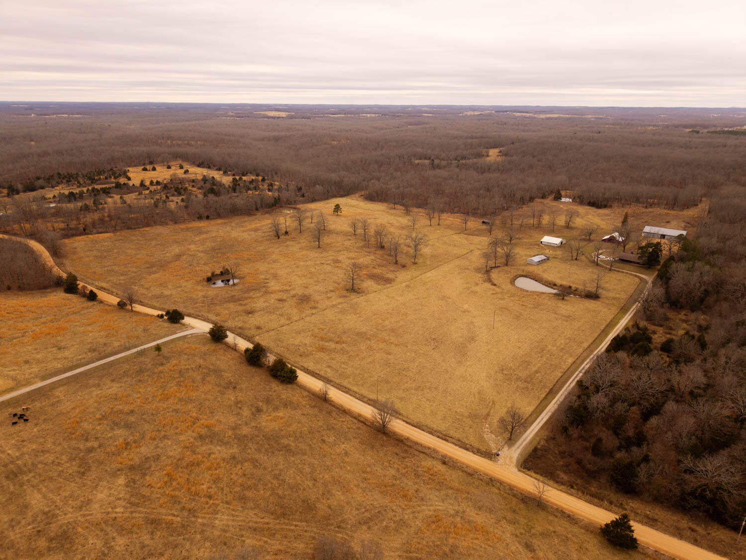 2405 County Road 2710 Property Photo 90