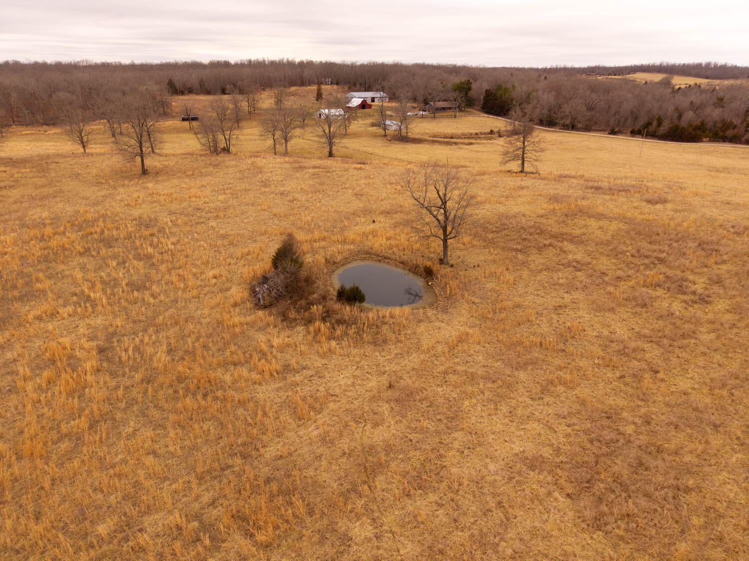 2405 County Road 2710 Property Photo 92