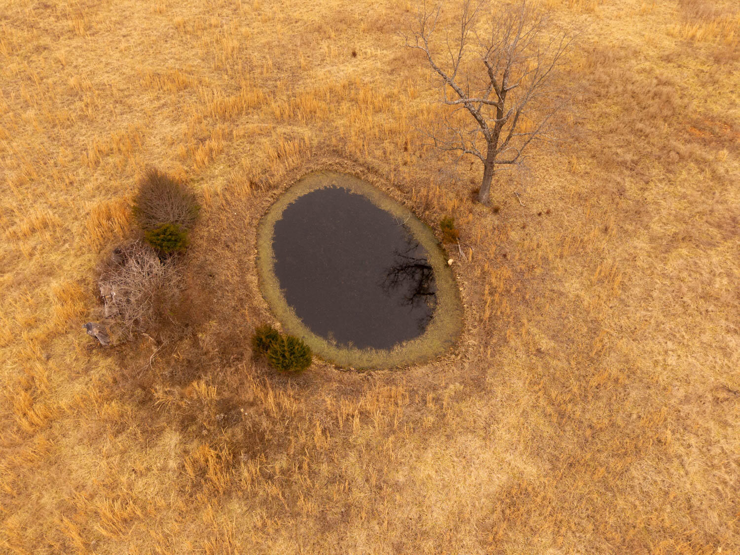 2405 County Road 2710 Property Photo 93