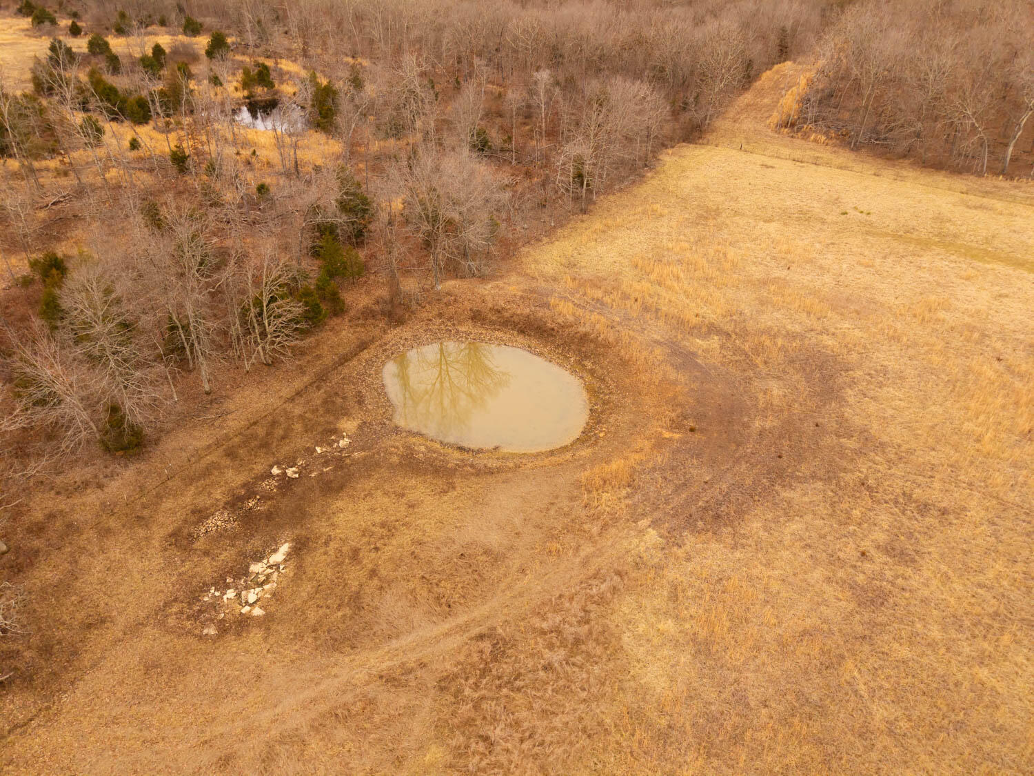 2405 County Road 2710 Property Photo 94