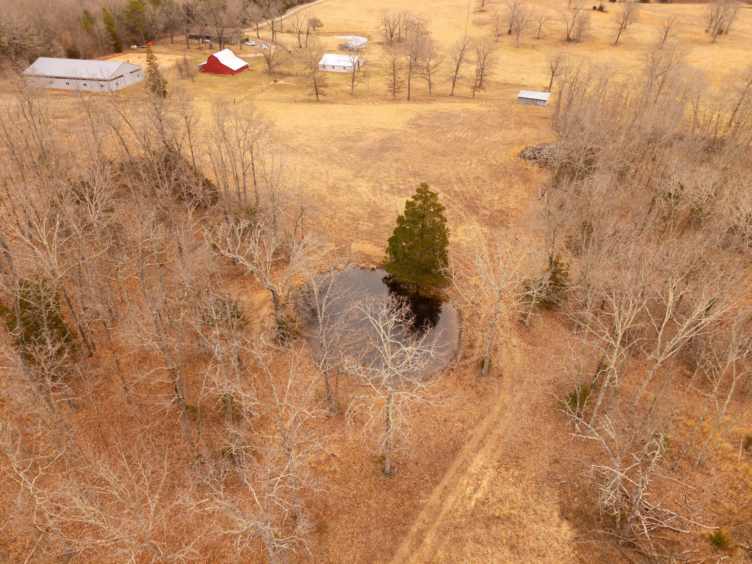 2405 County Road 2710 Property Photo 95