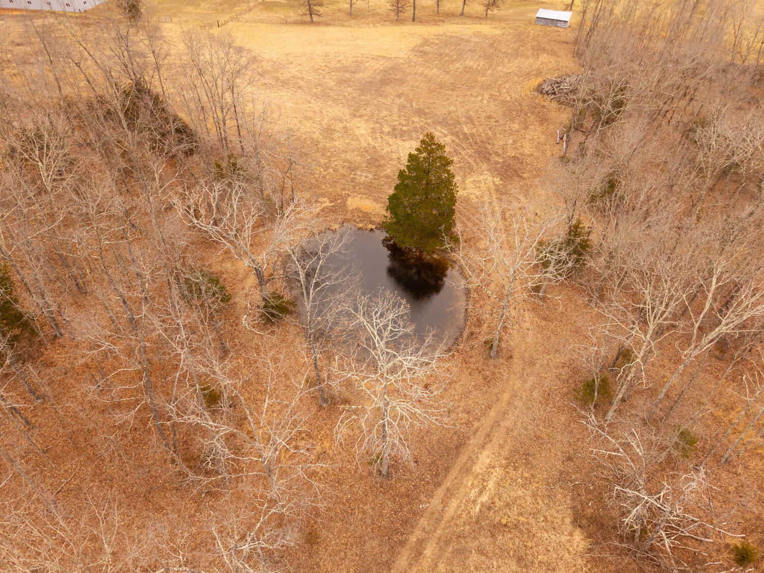 2405 County Road 2710 Property Photo 96