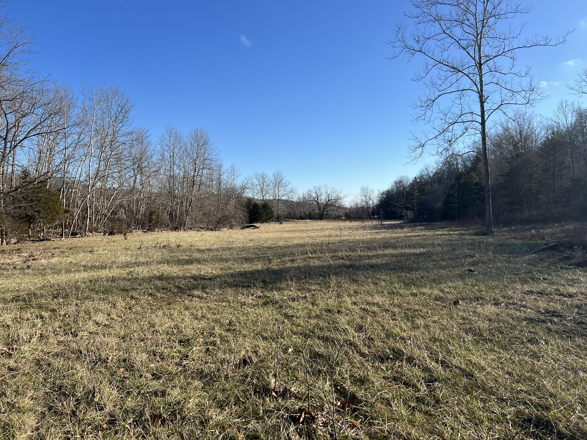 000 Shelton Road Property Photo 21