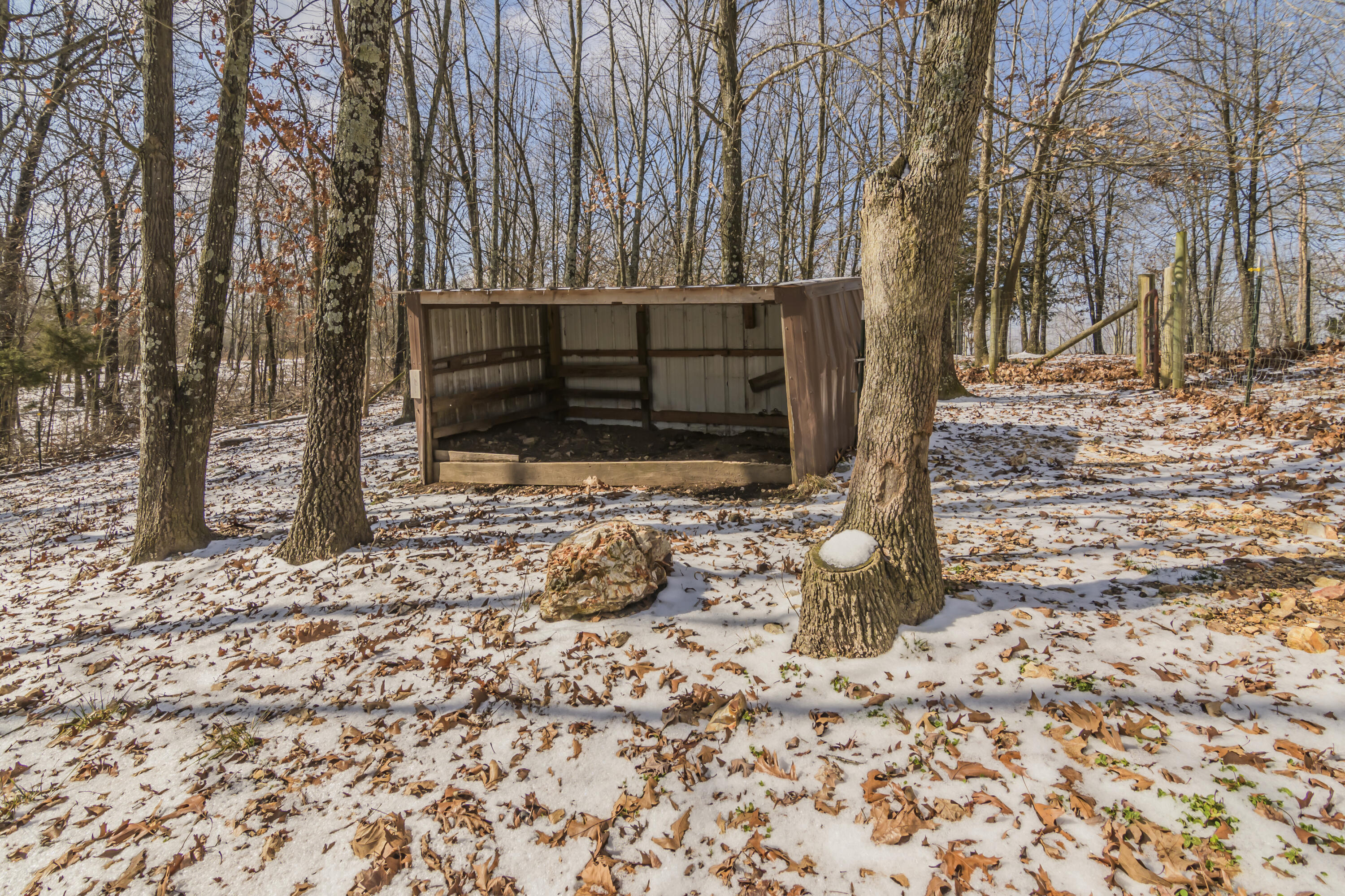 1220 South Marshfield Road Property Photo 49