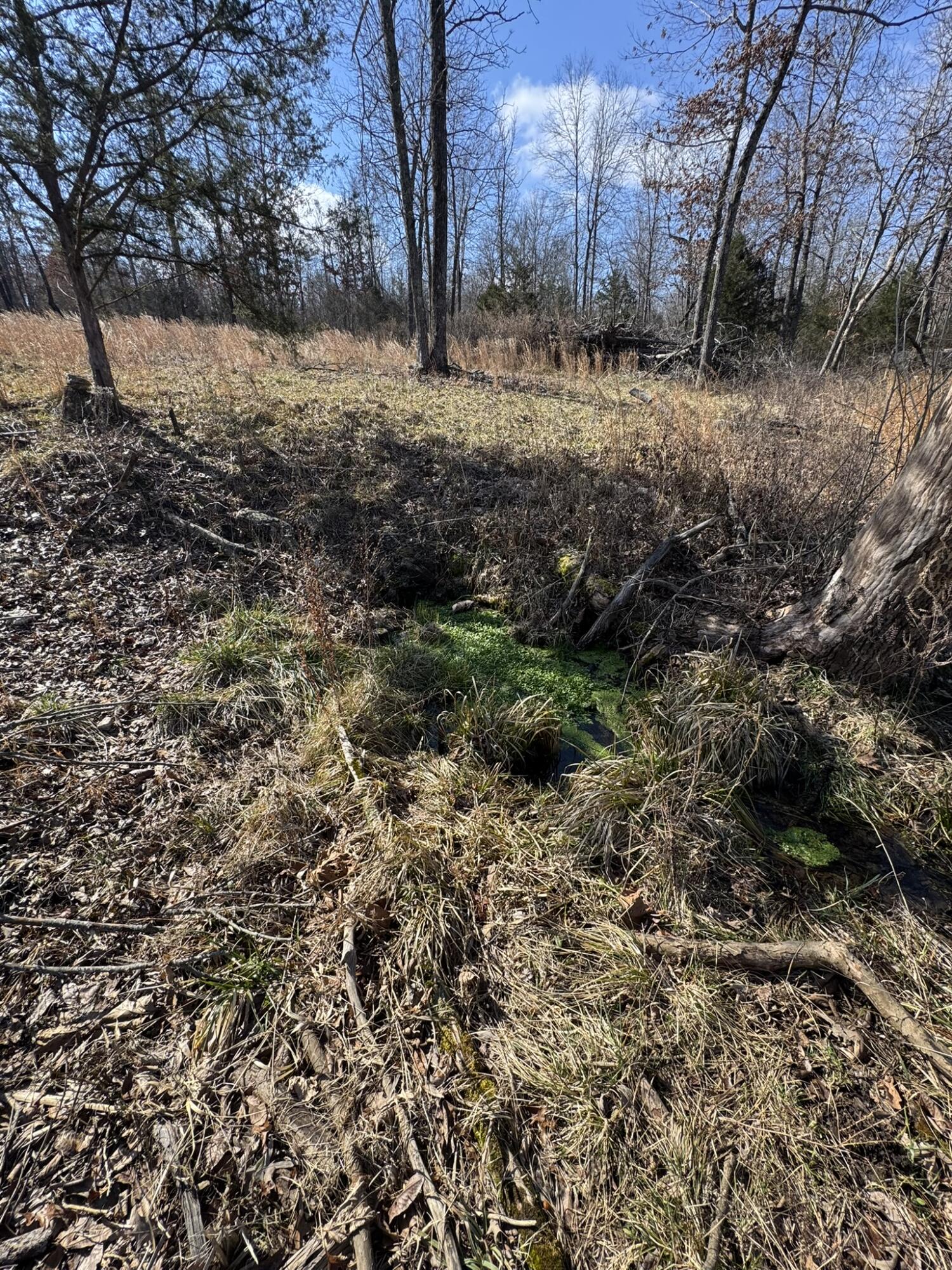 000 County Road 359 Property Photo 5