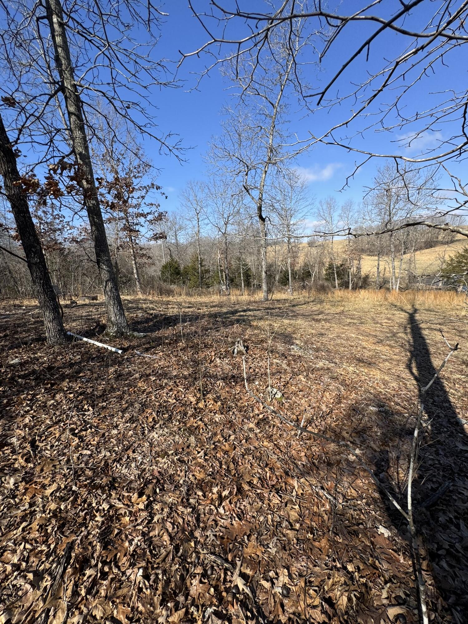 000 County Road 359 Property Photo 7