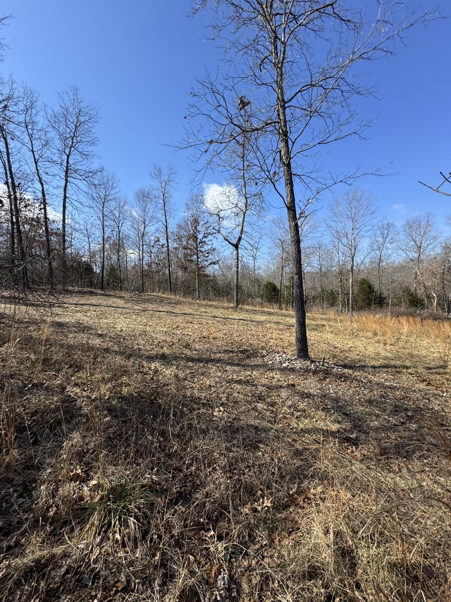 000 County Road 359 Property Photo 8