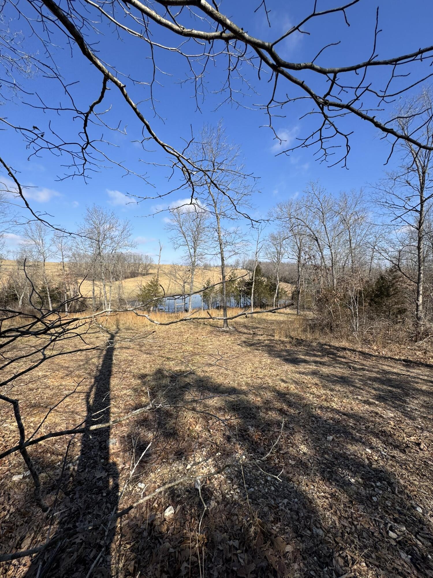 000 County Road 359 Property Photo 9