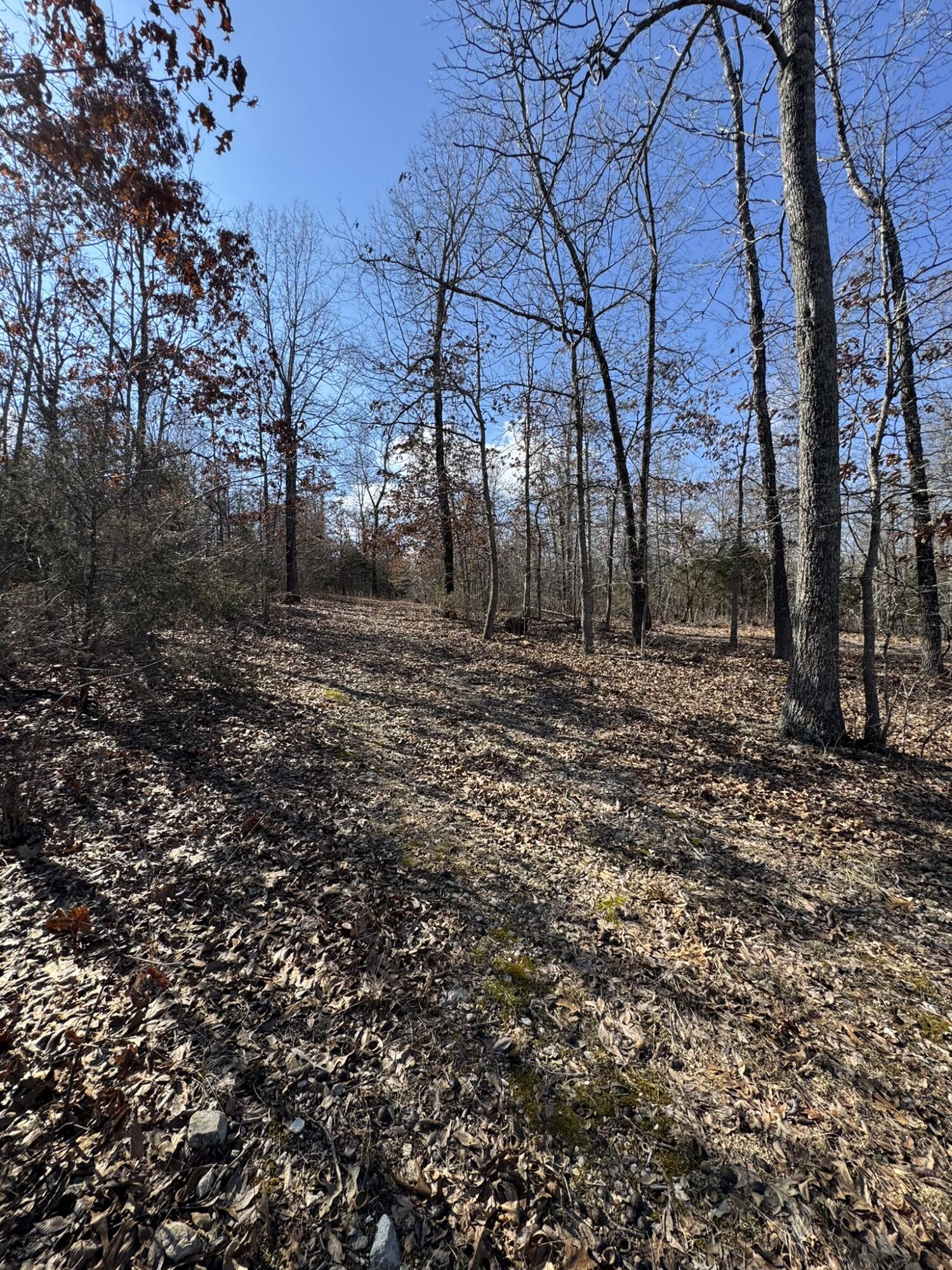000 County Road 359 Property Photo 10