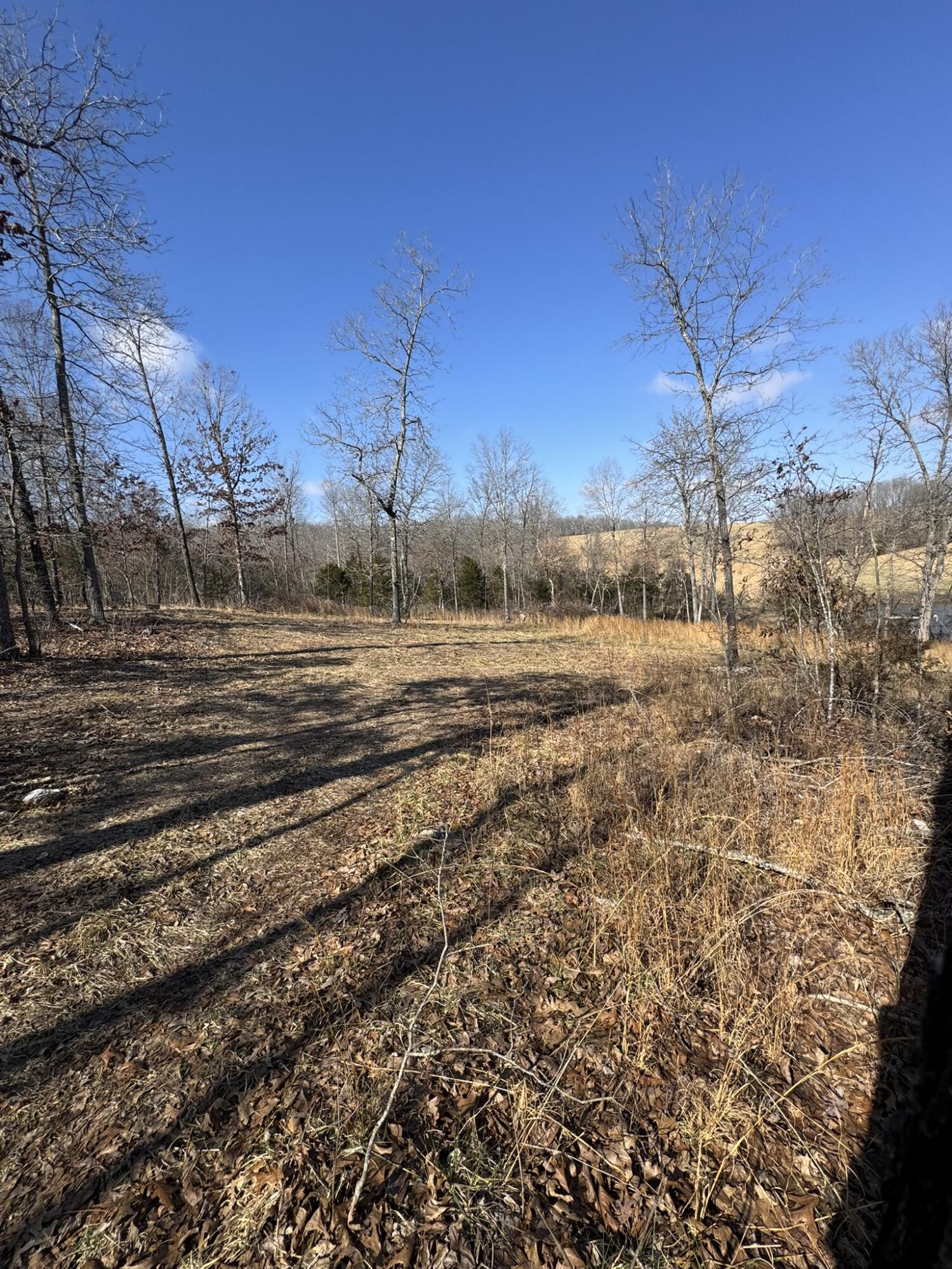 000 County Road 359 Property Photo 11