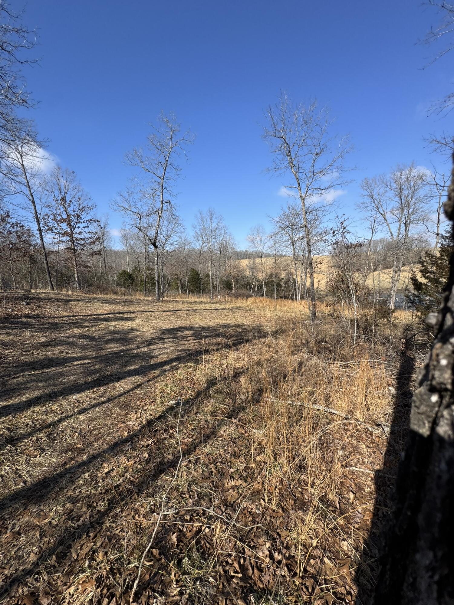 000 County Road 359 Property Photo 12