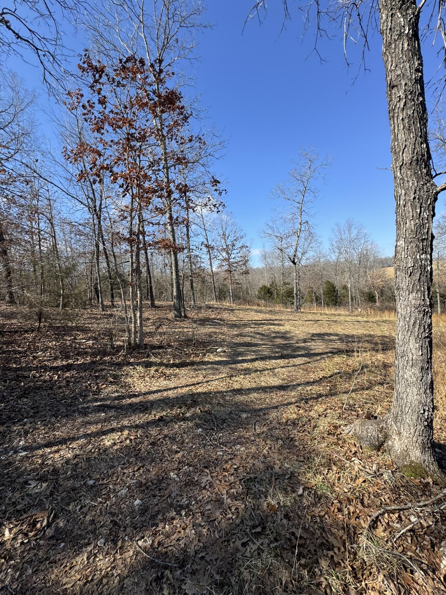 000 County Road 359 Property Photo 13