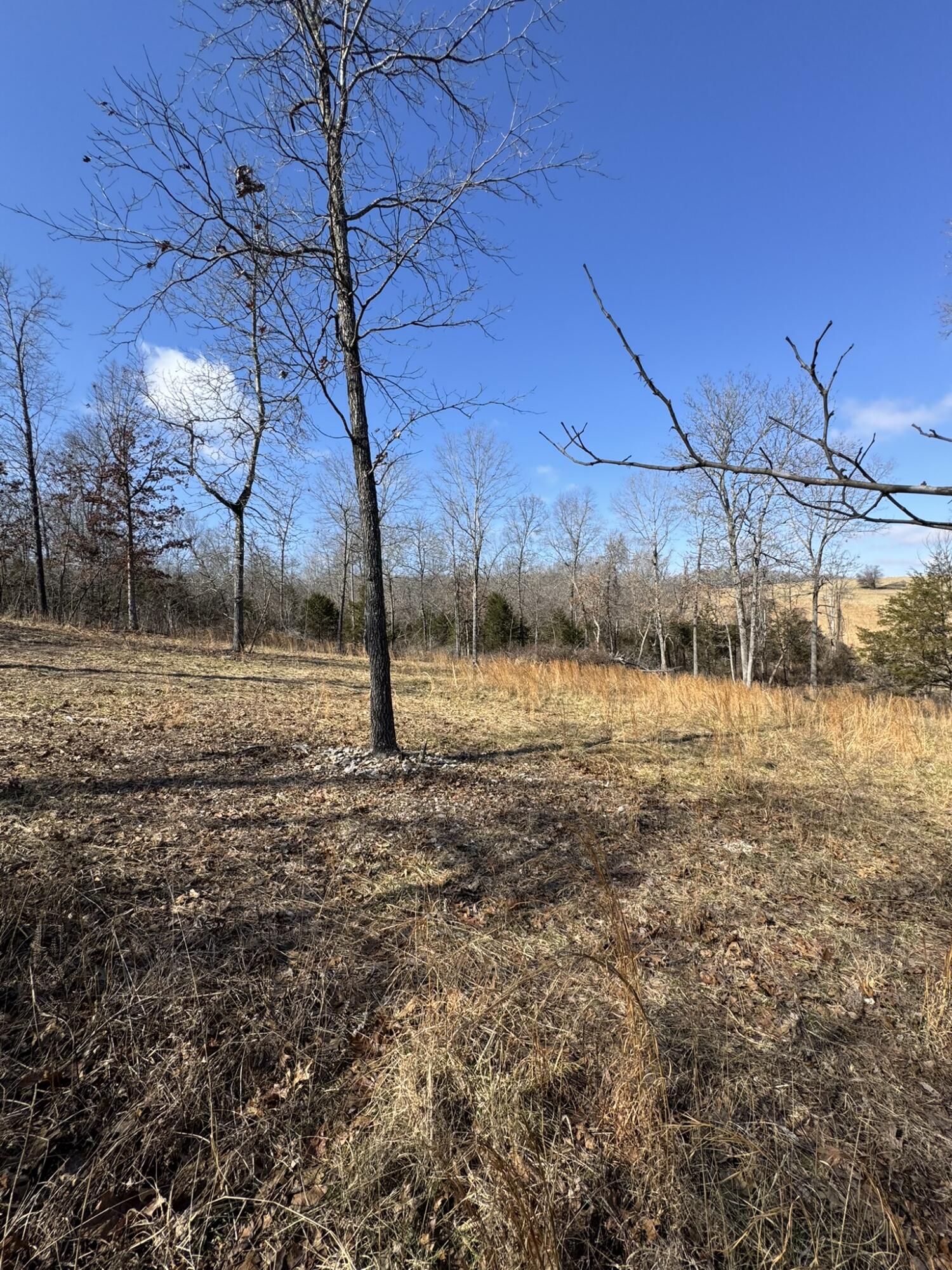 000 County Road 359 Property Photo 14